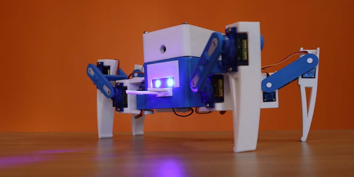 SPY-DER: A Speech & Web Controlled Surveillance Spider Robot